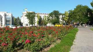 Апартаменты Rosa in the City Center Херсон Номер-студио-37