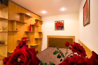 Апартаменты Rosa in the City Center Херсон Номер-студио-5